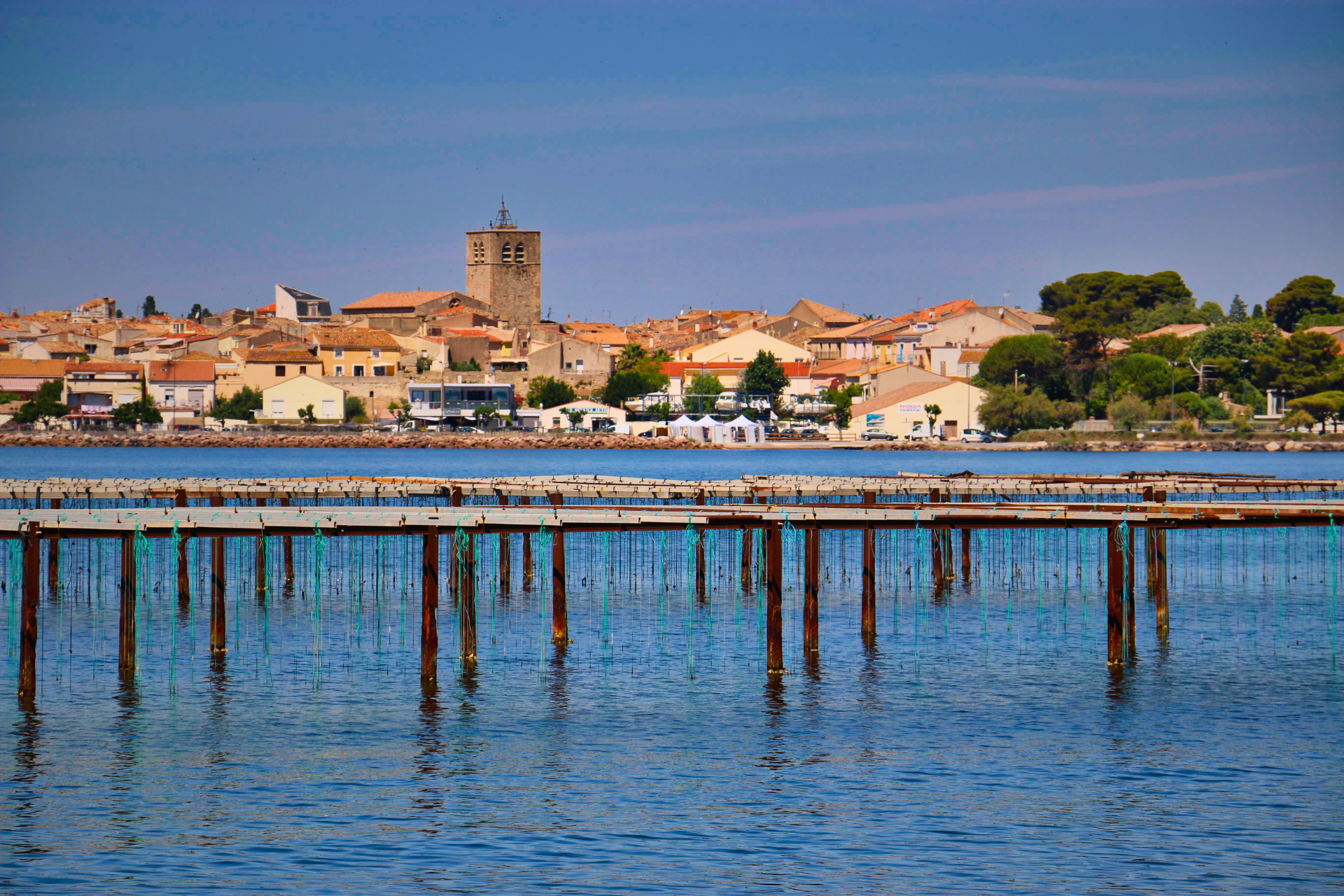 renovation-bassin-de-thau